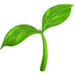 Valerie Geissbühler Pacheco